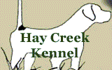 Hay Creek Kennel
