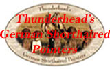 German Shorthaired Pointers,GSP,Gun Dogs,Hunting Dogs,Master Hunters,NAVHDA,Upland Game Dogs,Started Dogs,Puppies,Finished Gun Dogs