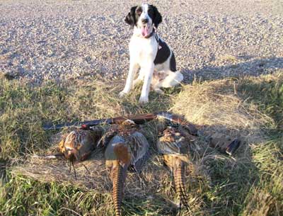 South Dakota Pheasant Hunt 2010