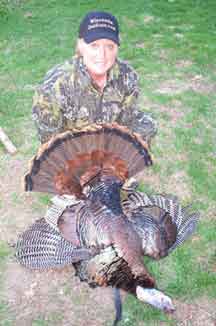 Wisconsin Wild Turkeys Wisconsin Turkey Hunting