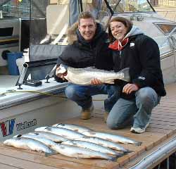Limiit of Lake Michigan Brown Trout 